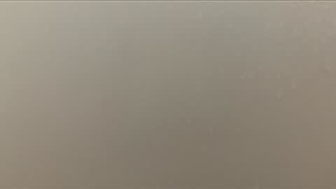 love2seeudear online show from February 15, 9:18 am