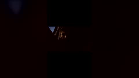 bedecar online show from March 20, 7:29 pm