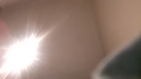 zeef online show from February 3, 3:04 am