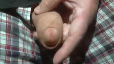  Reservoir Dogs online show from March 21, 2:15 am