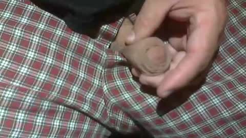  Reservoir Dogs online show from October 26, 9:44 am