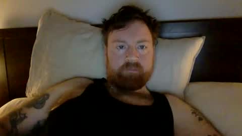 Beewolf online show from December 30, 3:58 am