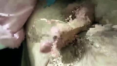 big88385909 online show from February 4, 1:00 am