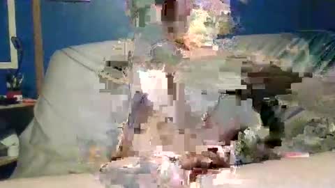 Snapshot of big9inchsnake chatting on December 11, 12:16 pm big9inchsnake online show from December 11, 12:16 pm