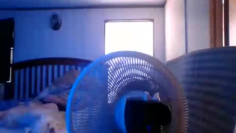 BB online show from March 28, 8:31 pm