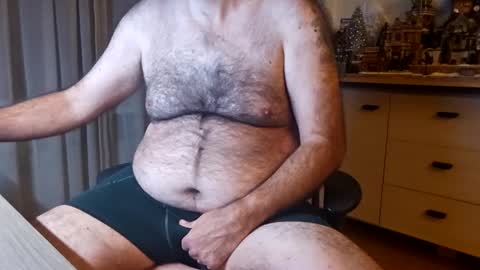 Snapshot of bigbibear88 chatting on December 10, 11:21 pm bigbibear88 online show from December 10, 11:21 pm