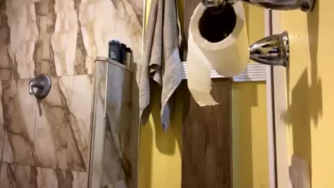 bigbtdny online show from October 23, 11:13 am