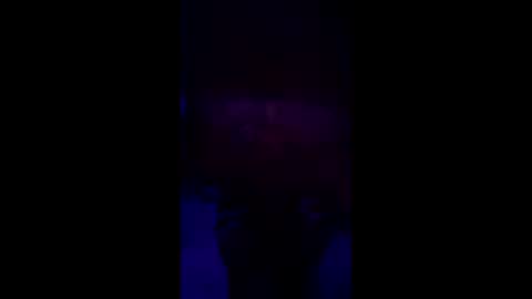 bigdaddygermann online show from February 28, 2:54 am