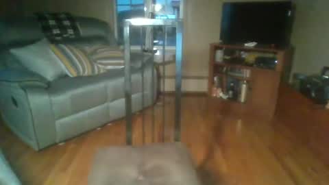 bigdeer58191747802843 online show from May 27, 1:26 pm