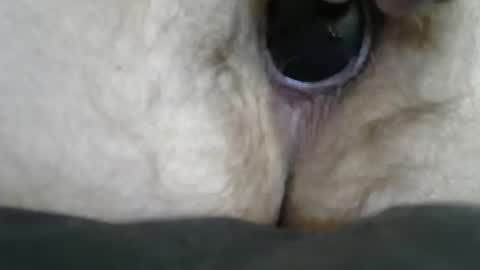 bigdickdaddy684 online show from October 20, 4:22 pm