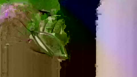 Snapshot of bigdog9thick chatting on January 6, 7:24 pm bigdog9thick online show from January 6, 7:24 pm