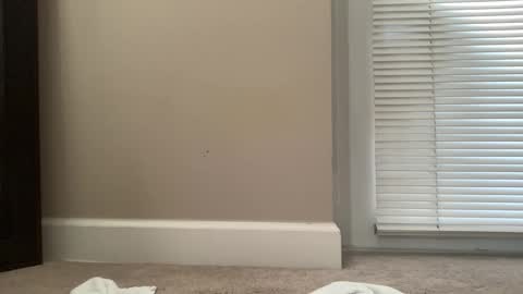 bigjohnsmith5 online show from February 11, 9:03 pm