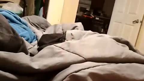 Spanky eatingasshole online show from June 20, 9:36 am
