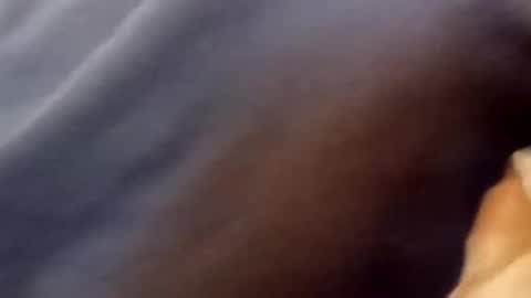 Snapshot of bigloggzz chatting on January 20, 3:07 pm bigloggzz online show from January 20, 3:07 pm
