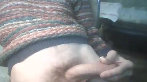 bigpenix online show from December 21, 3:25 am