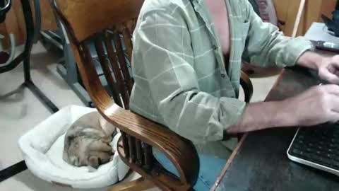 billy471 online show from November 29, 9:17 pm