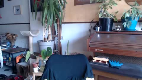 Snapshot of billy_fingercut chatting on March 4, 7:30 am Billy FingerCut online show from March 4, 7:30 am