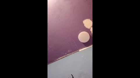 blue17562 online show from April 11, 3:15 pm