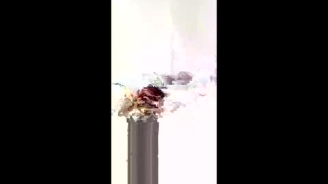 bobbyelectron online show from March 17, 5:10 am