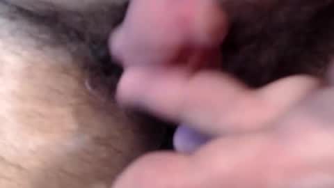 bobswan online show from February 8, 3:38 pm