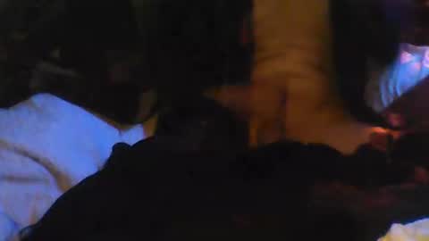 bodybydadgregglenn online show from March 1, 10:59 am