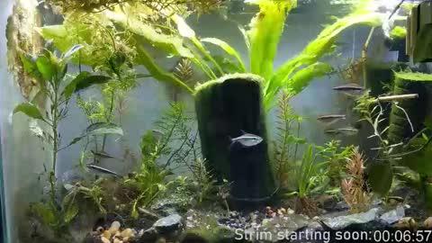 Booker Baxton online show from November 4, 4:02 am