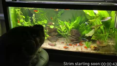 Booker Baxton online show from March 19, 3:10 am