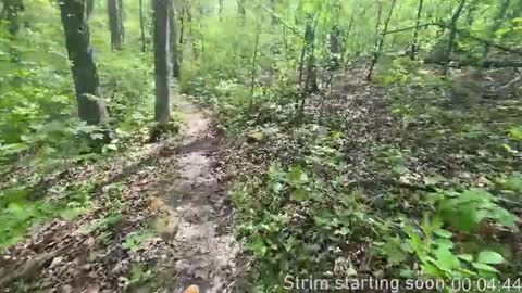 Booker Baxton online show from November 5, 4:03 am