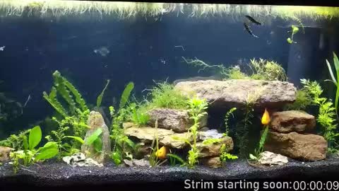 Booker Baxton online show from October 29, 3:09 am