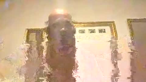 Snapshot of boredaf6678 chatting on December 10, 3:08 am boredaf6678 online show from December 10, 3:08 am