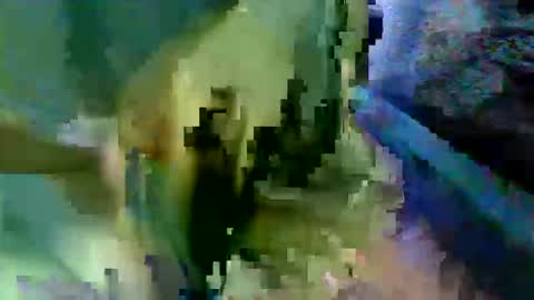 Snapshot of bossram160 chatting on October 17, 8:29 am bossram160 online show from October 17, 8:29 am
