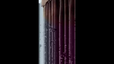 brandon6sick6 online show from February 7, 2:19 am