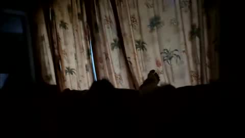 bravosteel online show from October 18, 12:10 pm