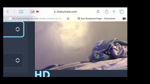 MANTE online show from November 20, 2:33 am