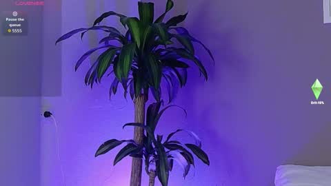 breydihard online show from October 15, 4:53 am