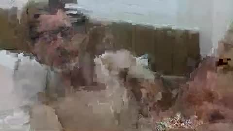 brital100 online show from February 13, 3:17 pm