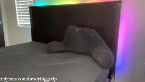 Snapshot of brodybiggs chatting on March 9, 10:19 pm Brody Biggs online show from March 9, 10:19 pm