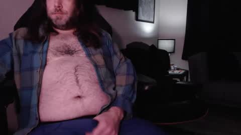 Bear online show from January 23, 4:41 am