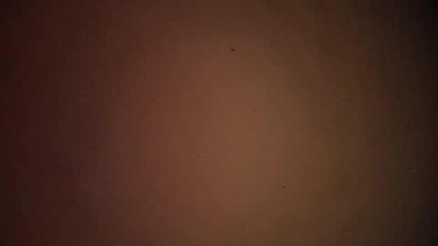 buena_paja2 online show from March 24, 12:05 am