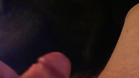 bullemoe online show from February 8, 12:05 am