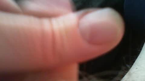 bullemoe online show from April 28, 5:45 am