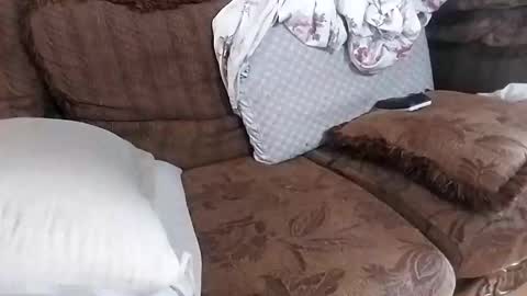 bxpapi69 online show from November 15, 4:42 pm