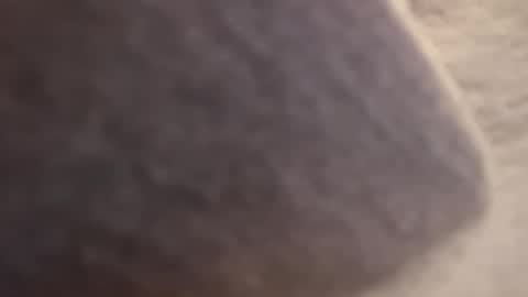 Snapshot of cactus_1041 chatting on November 1, 5:55 am Cactus1041 online show from November 1, 5:55 am