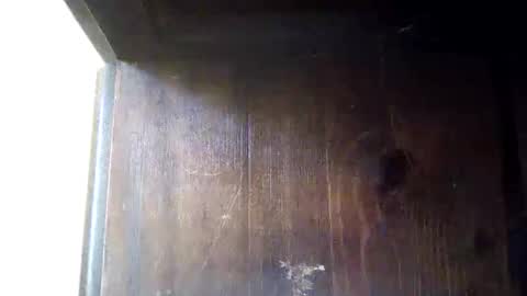 caga_palos online show from March 7, 9:01 pm