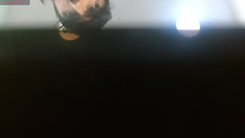 caleb stefan online show from June 6, 12:33 pm
