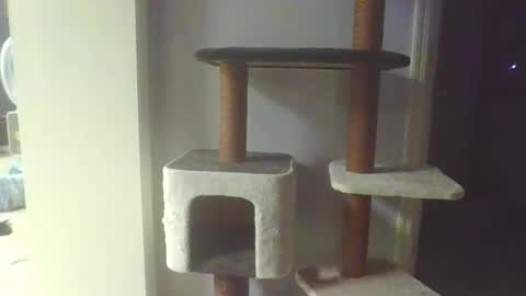 cammyman6900 online show from November 20, 4:34 am