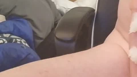 Canabin online show from March 1, 6:46 am