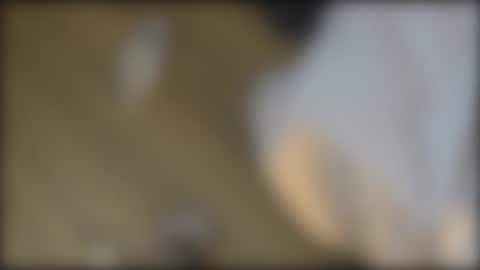 NIO POLLA online show from April 19, 7:08 am