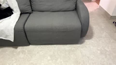 carlos162267 online show from December 1, 12:24 am