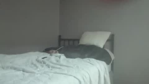 Flex online show from June 3, 12:34 am